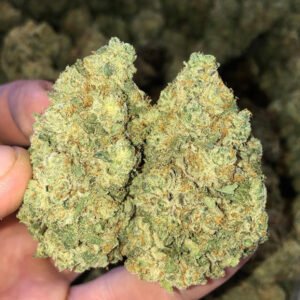 Grandaddy Purple