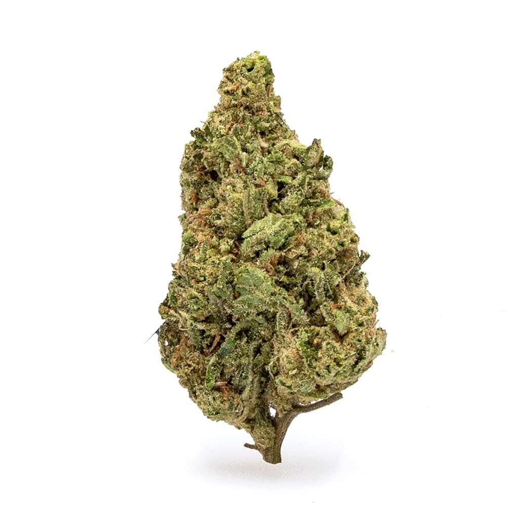 THCa Flower Acapulco Gold